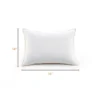 Cheer Collection Hypoallergenic Toddler Pillow - White (19" X 14")