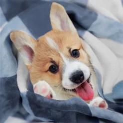 Bedding Sale Store -Bedding Sale Store GUEST a78fc1c7 f84b 4093 9394 14de89ee013c