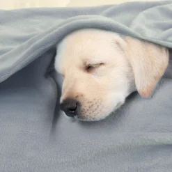 PiccoCasa 100% Polyester Soft Warm Fleece Plain Plush Bed Blankets 1 Pc -Bedding Sale Store GUEST cd675e83 2897 41a4 bcf5 d79b58901d0d